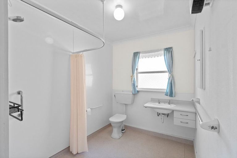 Photo of property in 58 Winchester Street, Levin, 5510