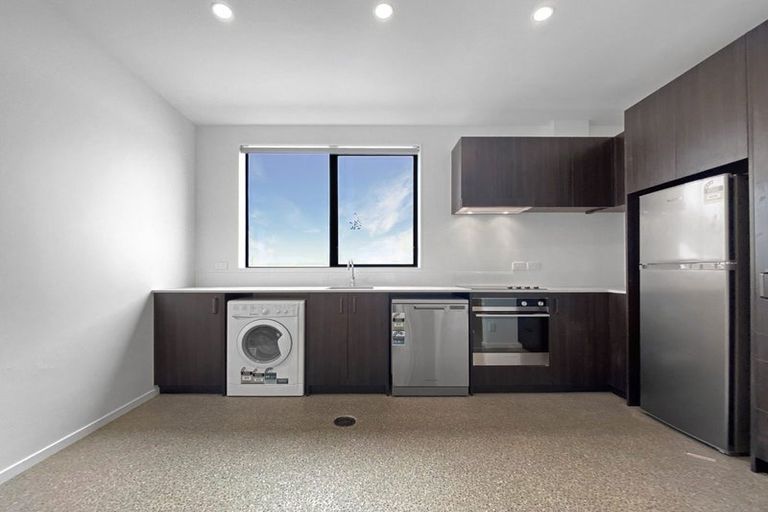 Photo of property in Aniva Terrace, 15 Arney Street, Newtown, Wellington, 6021