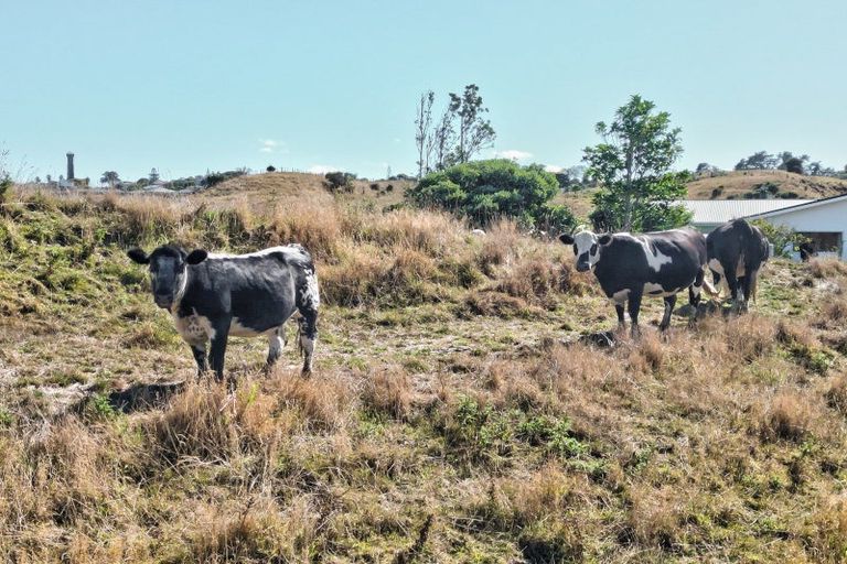 Photo of property in 47 Ngatarua Road, Putiki, Whanganui, 4500