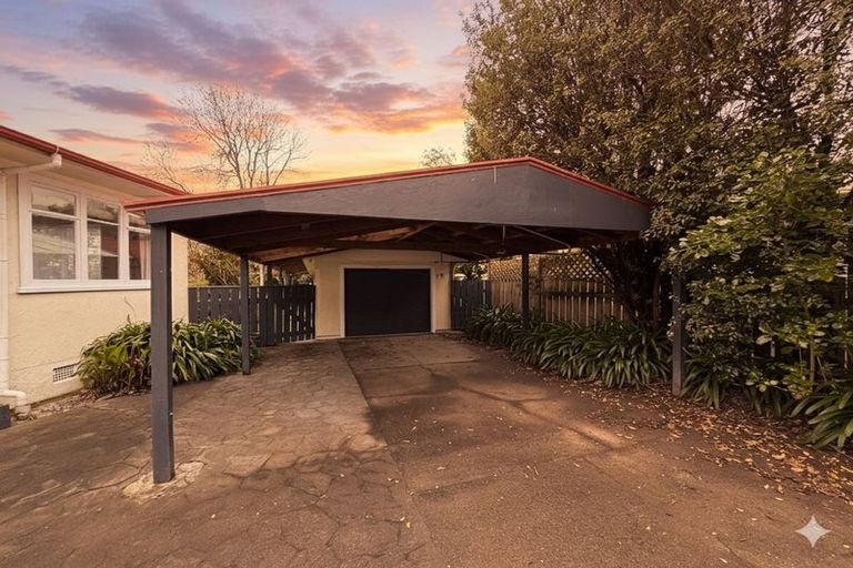 Photo of property in 45 Alfred Street, Roslyn, Palmerston North, 4414