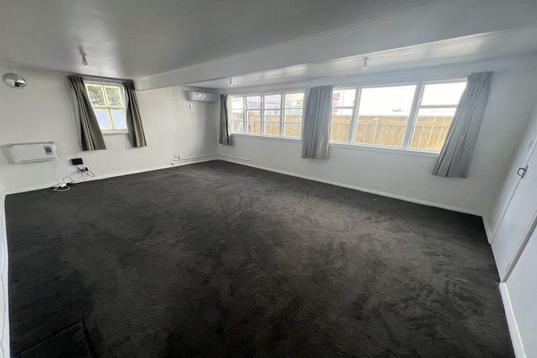 Photo of property in 101 Daniell Street, Newtown, Wellington, 6021