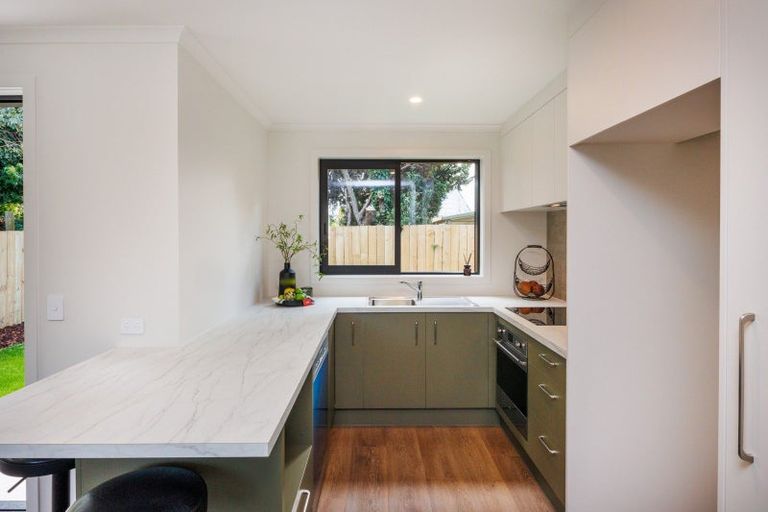 Photo of property in 13 Ihle Street, Terrace End, Palmerston North, 4410