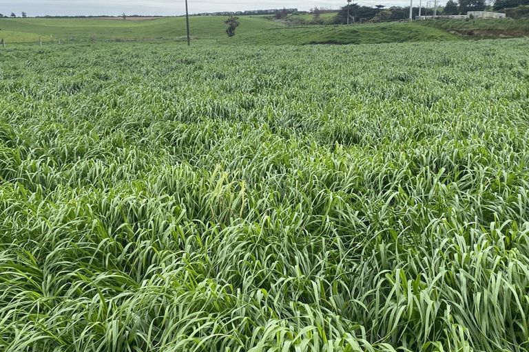 Photo of property in 5 Kakaramea Road, Kakaramea, Patea, 4598