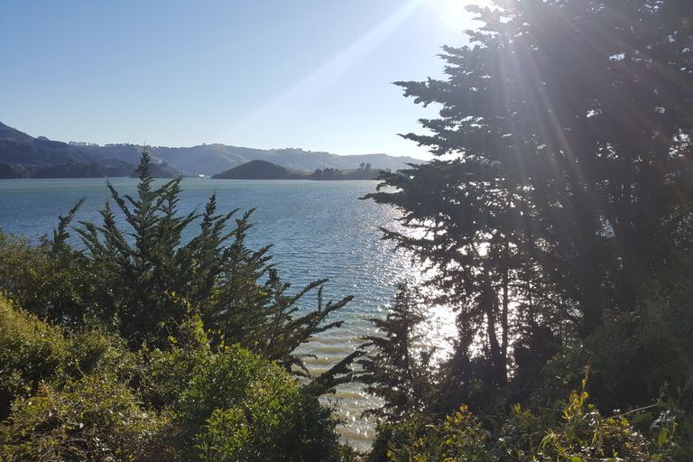 Photo of property in 11b Virginia Avenue, Broad Bay, Dunedin, 9014