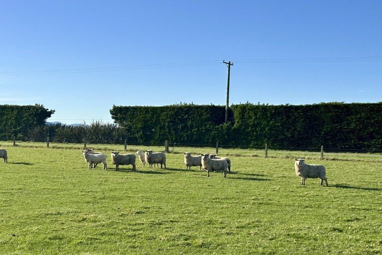 Photo of property in 748 Makarewa Browns Road, Ryal Bush, Invercargill, 9876