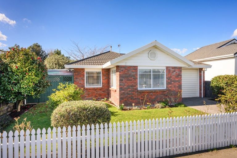 Photo of property in 273 Ruahine Street, Terrace End, Palmerston North, 4410