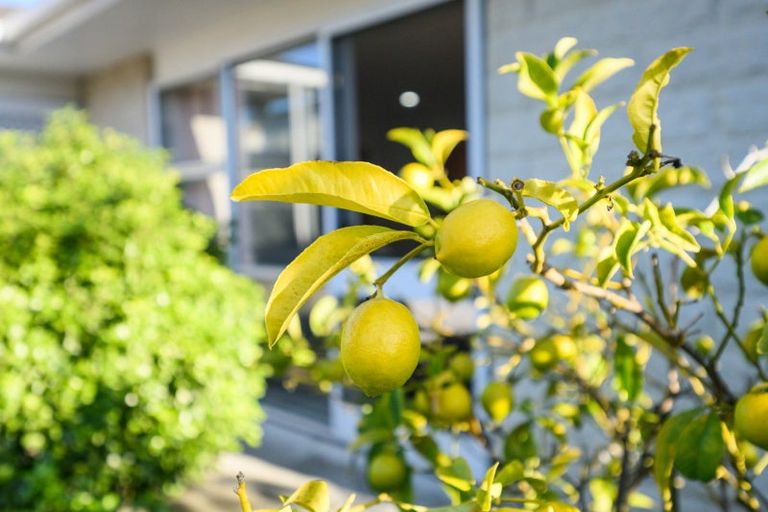 Photo of property in 50a Burns Avenue, Takaro, Palmerston North, 4412