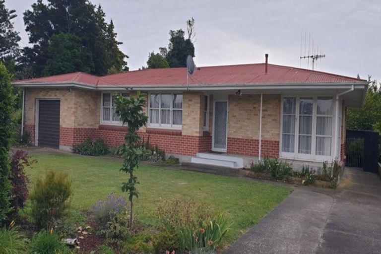 Photo of property in 8 Mabel Street, Levin, 5510