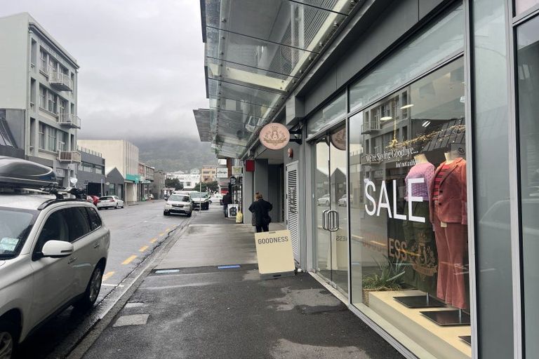 Photo of property in Trinity Apartments, 19 College Street, Te Aro, Wellington, 6011