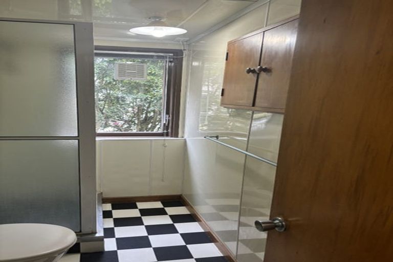 Photo of property in 2/13 May Street, Hamilton East, Hamilton, 3216