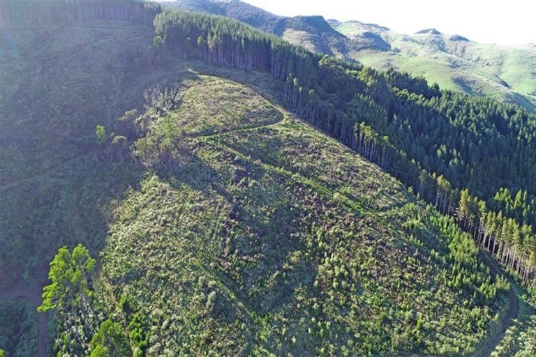 Photo of property in 90 Bachelors Road, Little River, 7591