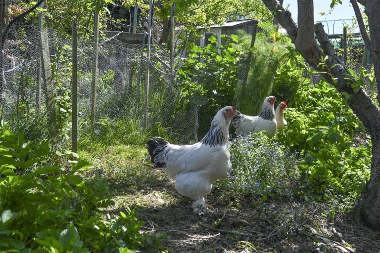 Photo of property in 571 Lyndhurst Road, Frimley, Hastings, 4120