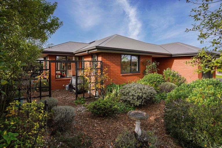 Photo of property in 5/12 Bank Street, Amberley, 7410