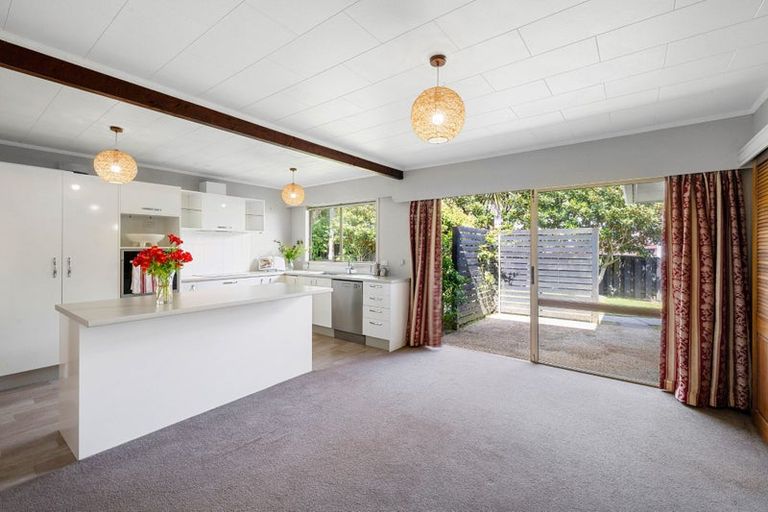 Photo of property in 19 Wesley Avenue, Frankleigh Park, New Plymouth, 4310
