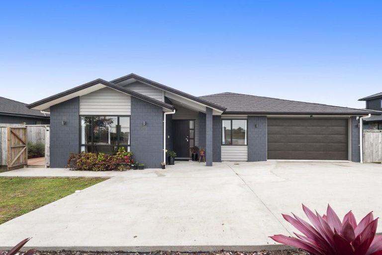 Photo of property in 76 Puni Road, Pukekohe, 2120