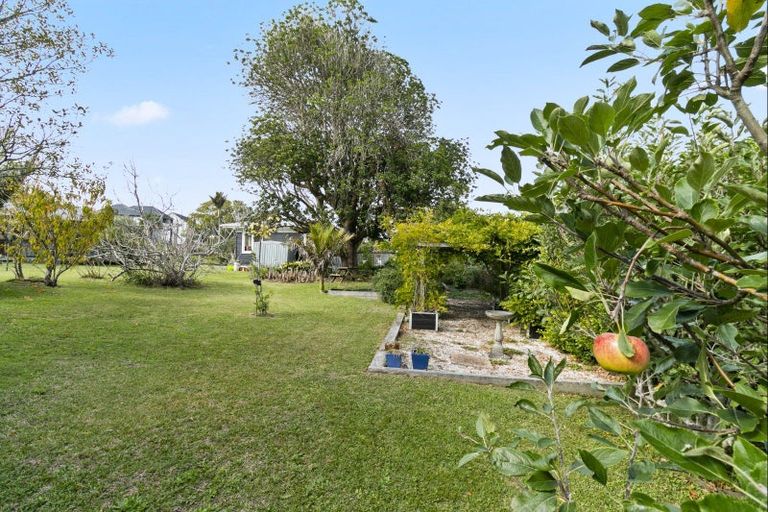 Photo of property in 55 Merani Street, Belmont, Auckland, 0622