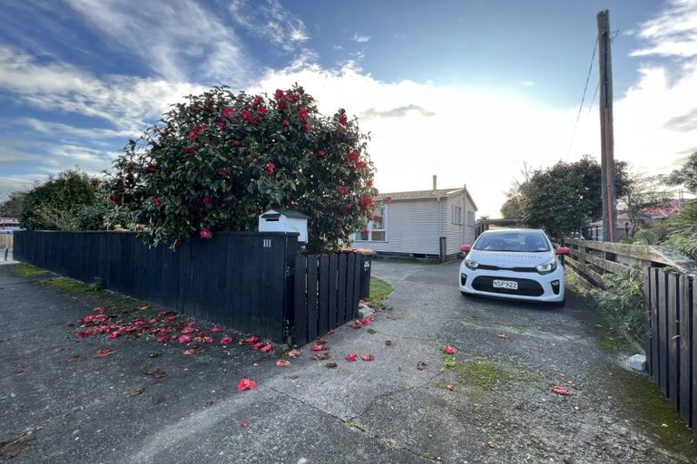 Photo of property in 111 Limbrick Street, Terrace End, Palmerston North, 4410