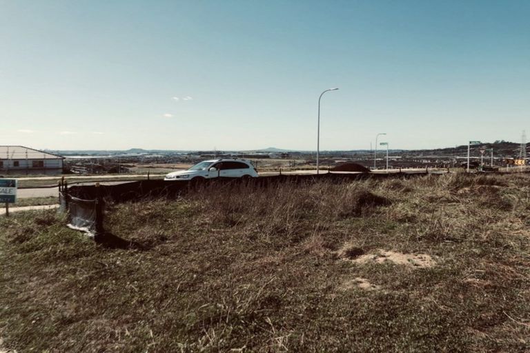 Photo of property in 24 Lime Hill Rise, Flat Bush, Auckland, 2019