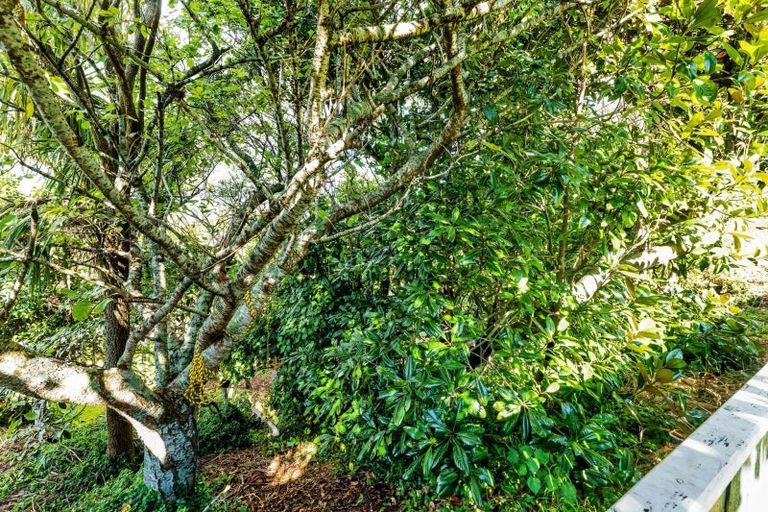 Photo of property in 22 Ngaio Street, Strandon, New Plymouth, 4312