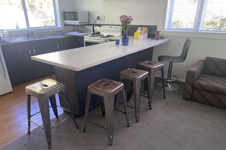 Photo of property in 20 Durham Street, Aro Valley, Wellington, 6021