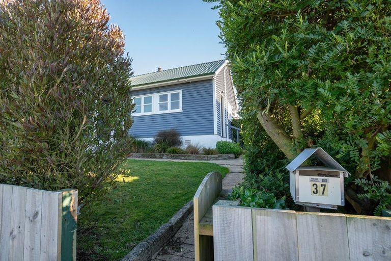 Photo of property in 37 Puketai Street, Andersons Bay, Dunedin, 9013