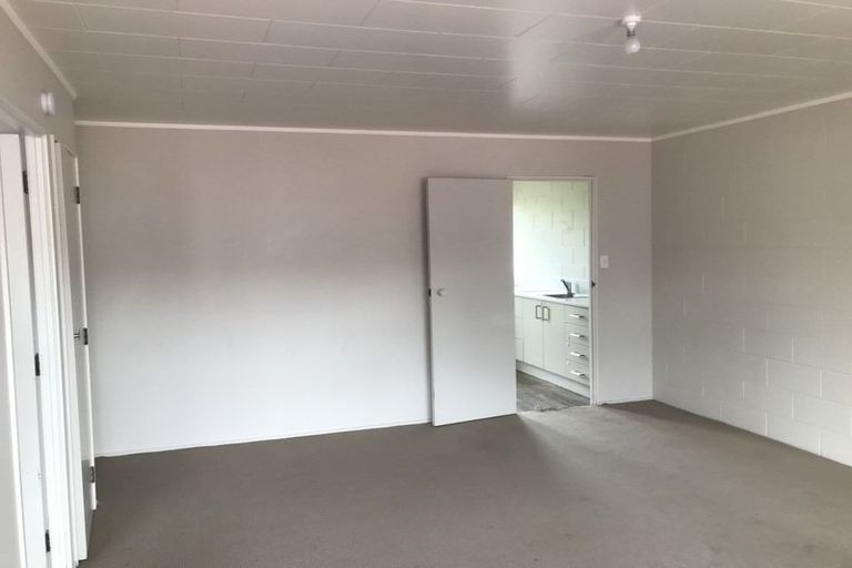 Photo of property in 249 Ulster Street, Whitiora, Hamilton, 3200