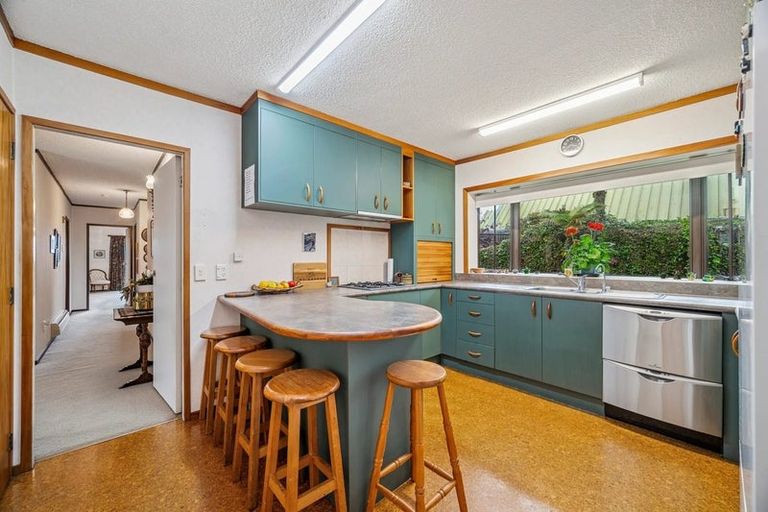 Photo of property in 3 Willmott Place, Springfield, Rotorua, 3015