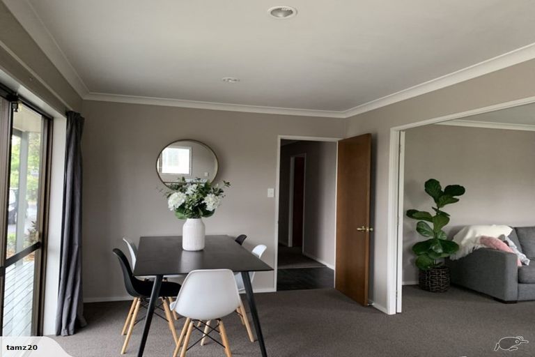 Photo of property in 48 Splitt Avenue, Glenview, Hamilton, 3206