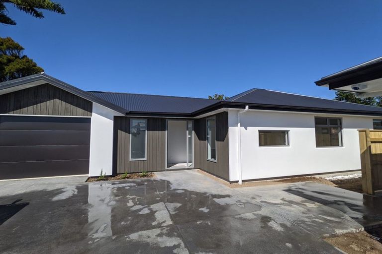 Photo of property in 19b Trafalgar Street, Levin, 5510