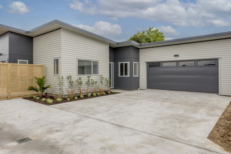 Photo of property in 52a Mako Mako Road, Levin, 5510