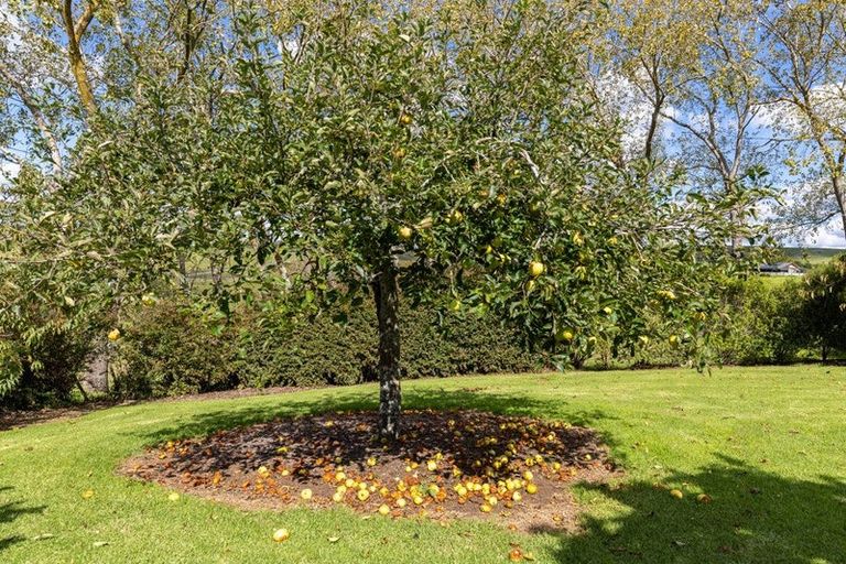 Photo of property in 319b Rotowaro Road, Huntly, 3771