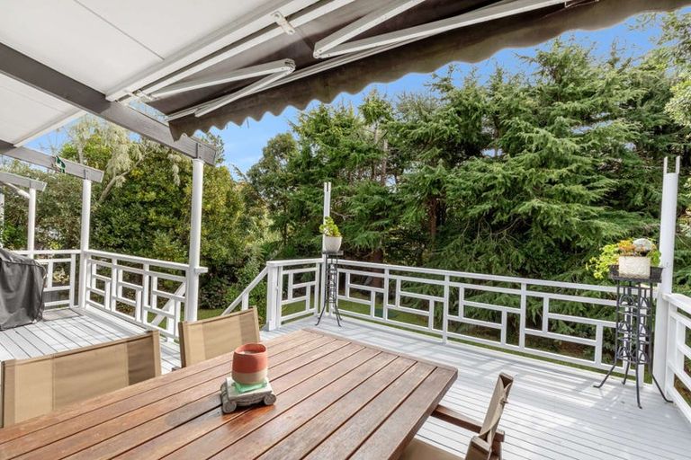 Photo of property in 255 Cambridge Street, Levin, 5510