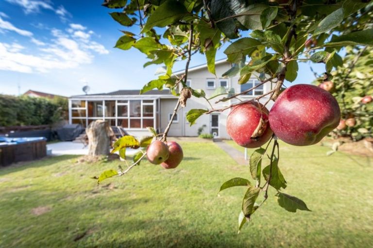 Photo of property in 34 Kauri Crescent, Matamata, 3400