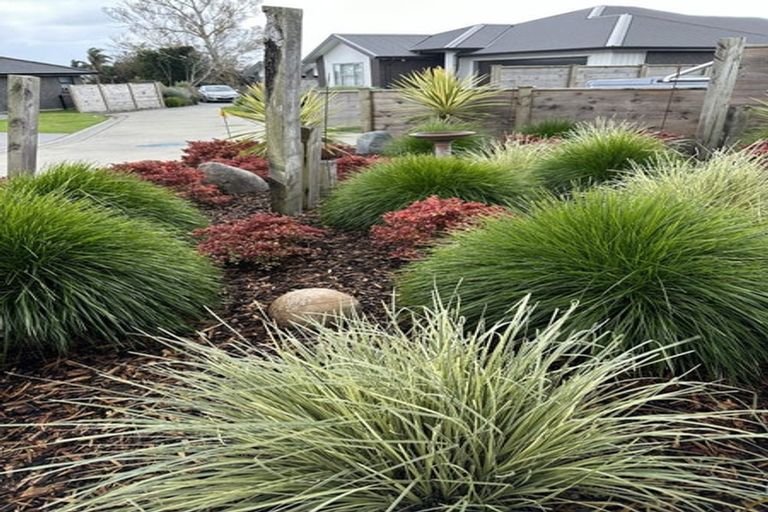 Photo of property in 30 Augusta Rise, Omokoroa, 3114