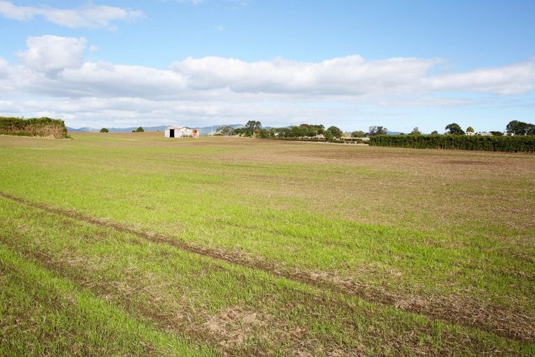 Photo of property in 142 Hutchings Road, Waiuku, 2682