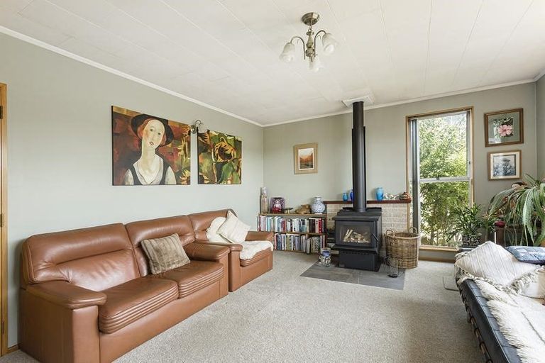Photo of property in 22 Cooper Street, Mornington, Dunedin, 9011