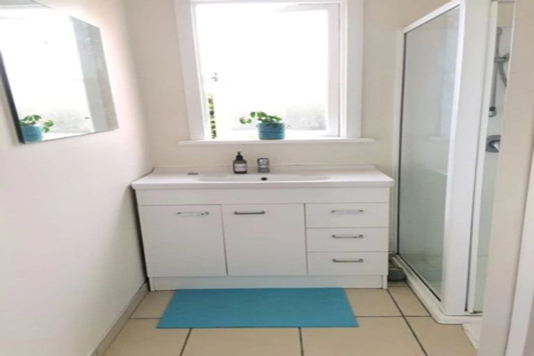 Photo of property in 45 Pacific Street, Roslyn, Dunedin, 9010