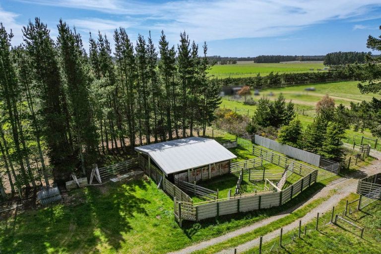 Photo of property in 526 Downs Road, Eyrewell, West Eyreton, 7476