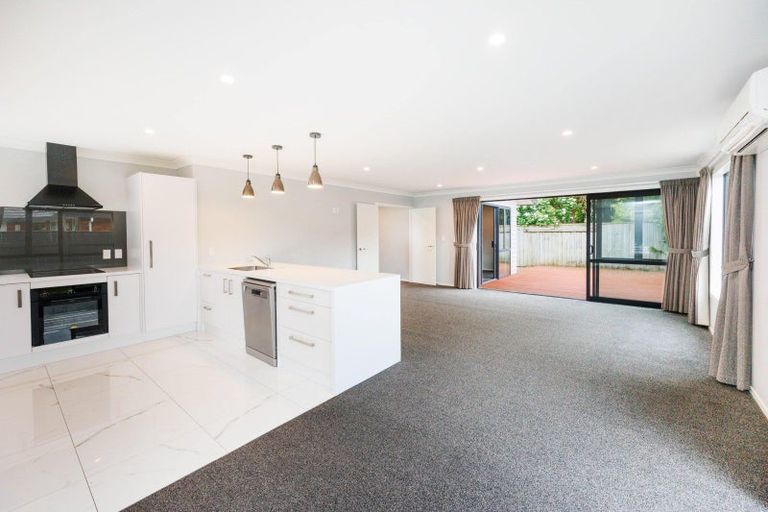 Photo of property in 40a Manawatu Street, Hokowhitu, Palmerston North, 4410