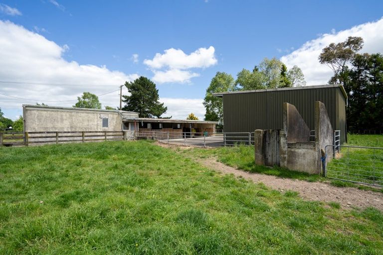 Photo of property in 67 Peake Road, Cambridge, 3493