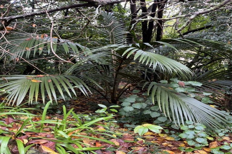 Photo of property in 854 No 1 Road, Te Puke, 3182