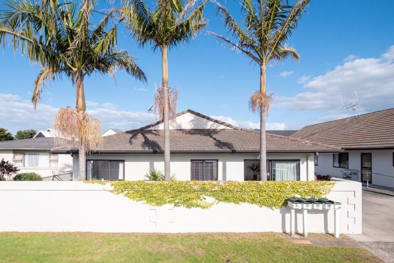 Photo of property in 8a Heath Street, Mount Maunganui, 3116