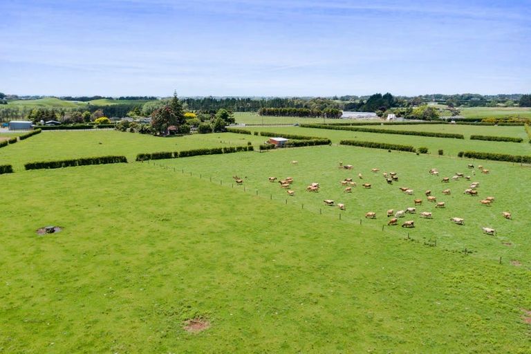 Photo of property in Upland Road, Tarurutangi, New Plymouth, 4372