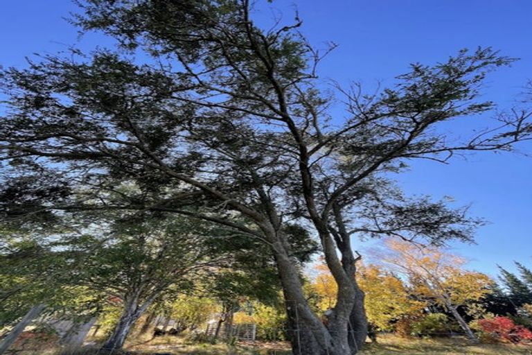 Photo of property in 8 Cemetery Road, Lake Hawea, Wanaka, 9382