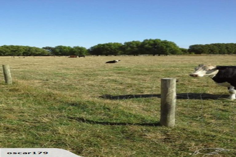 Photo of property in 145 Island Road, Kaiapoi, 7691