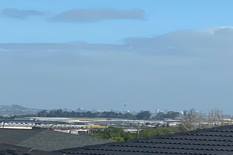 Photo of property in 11 Demeter Street, Flat Bush, Auckland, 2019