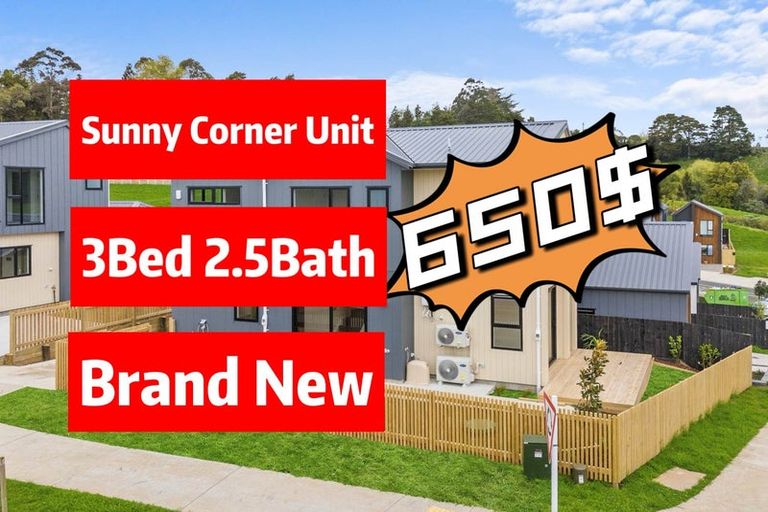 Photo of property in 38 Nanjing Road, Pukekohe, 2120
