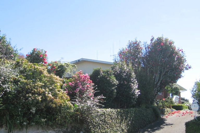 Photo of property in 8 Beaufort Avenue, Brookfield, Tauranga, 3110