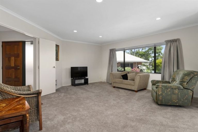 Photo of property in 169c Maungatapu Road, Maungatapu, Tauranga, 3112