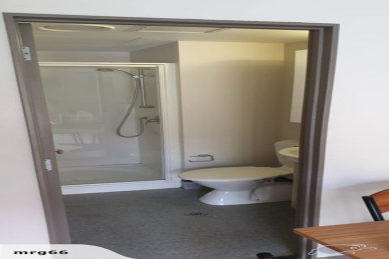 Photo of property in Dual Apartments, 108/142u Vivian Street, Te Aro, Wellington, 6011